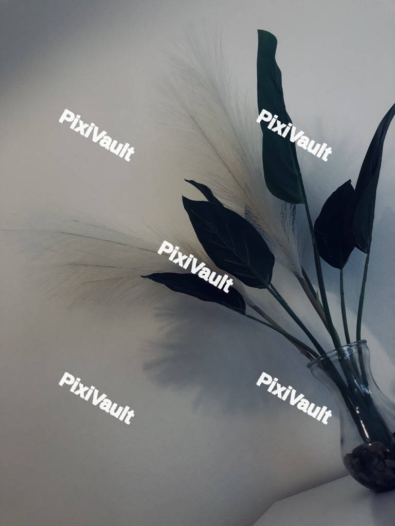Decorative Dark Plant